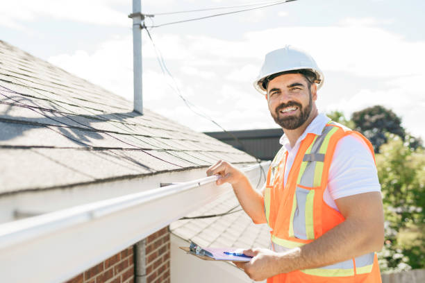 Roof Gutter Cleaning in Pharr, TX